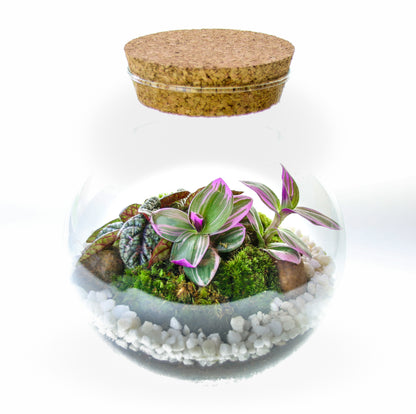 Terrarium gifts in the UK