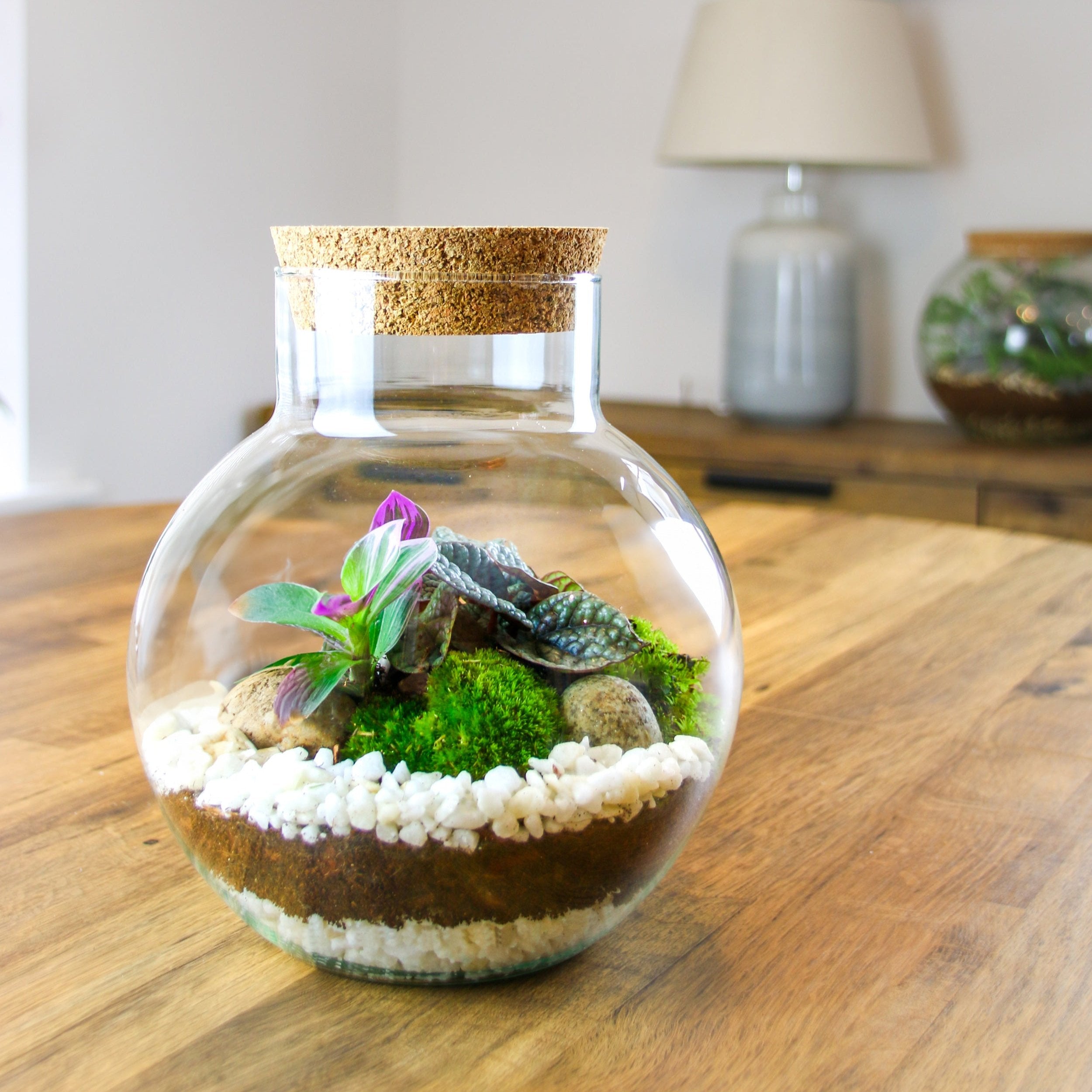 Glass ball terrarium with real plants