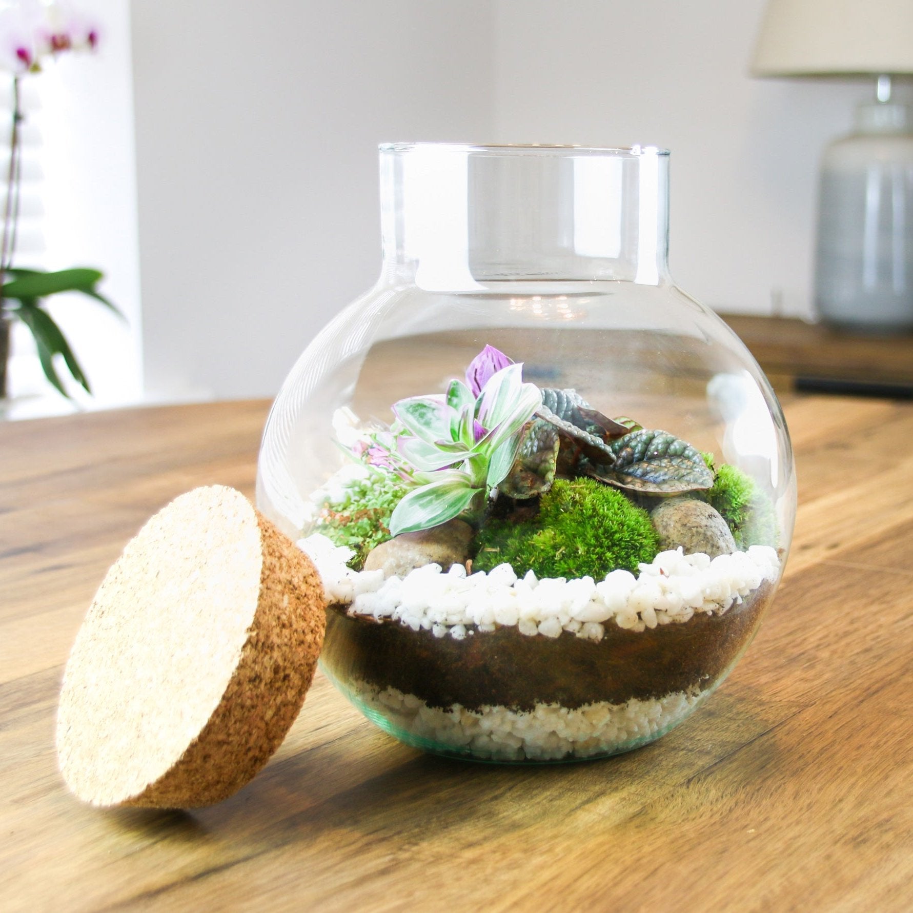 Small terrarium gift