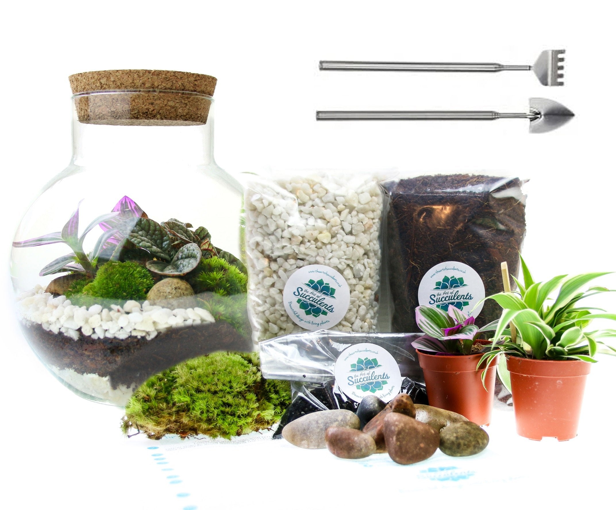 terrarium kit gift with living plants