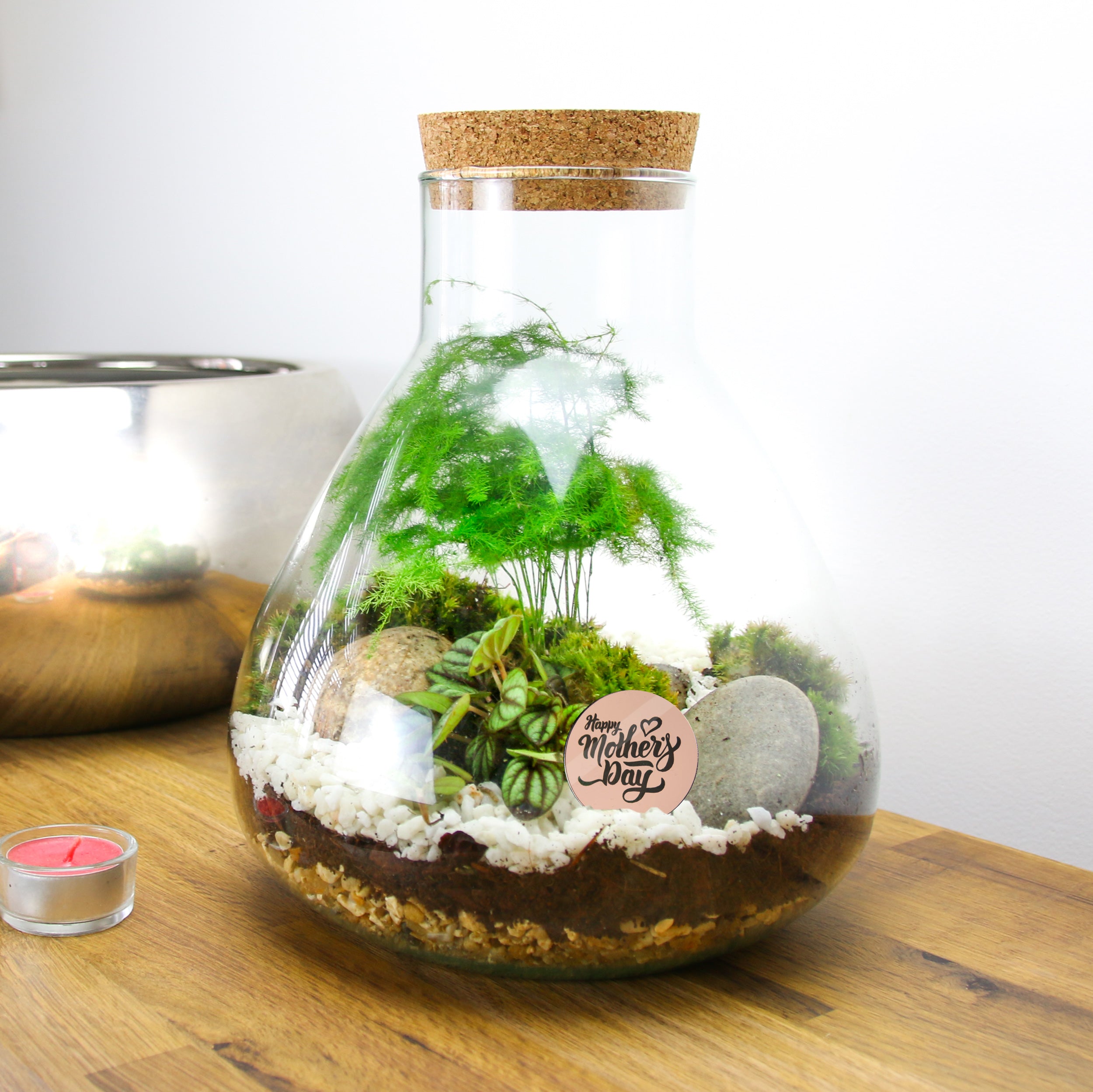 5L Small Angular Glass Bottle Closed Terrarium Kit with Living Moss and ...