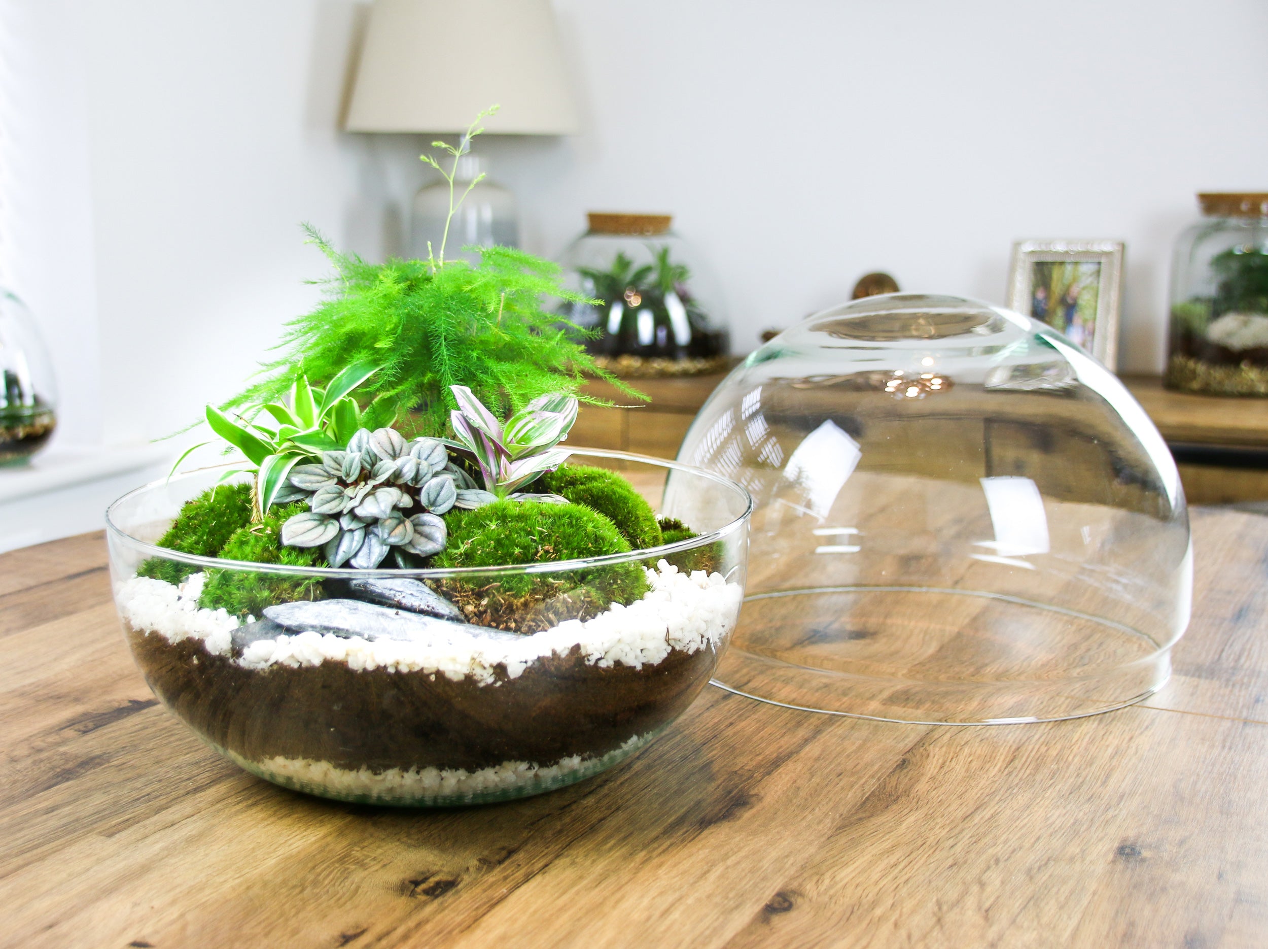 Large Glass Orb Closed Terrarium