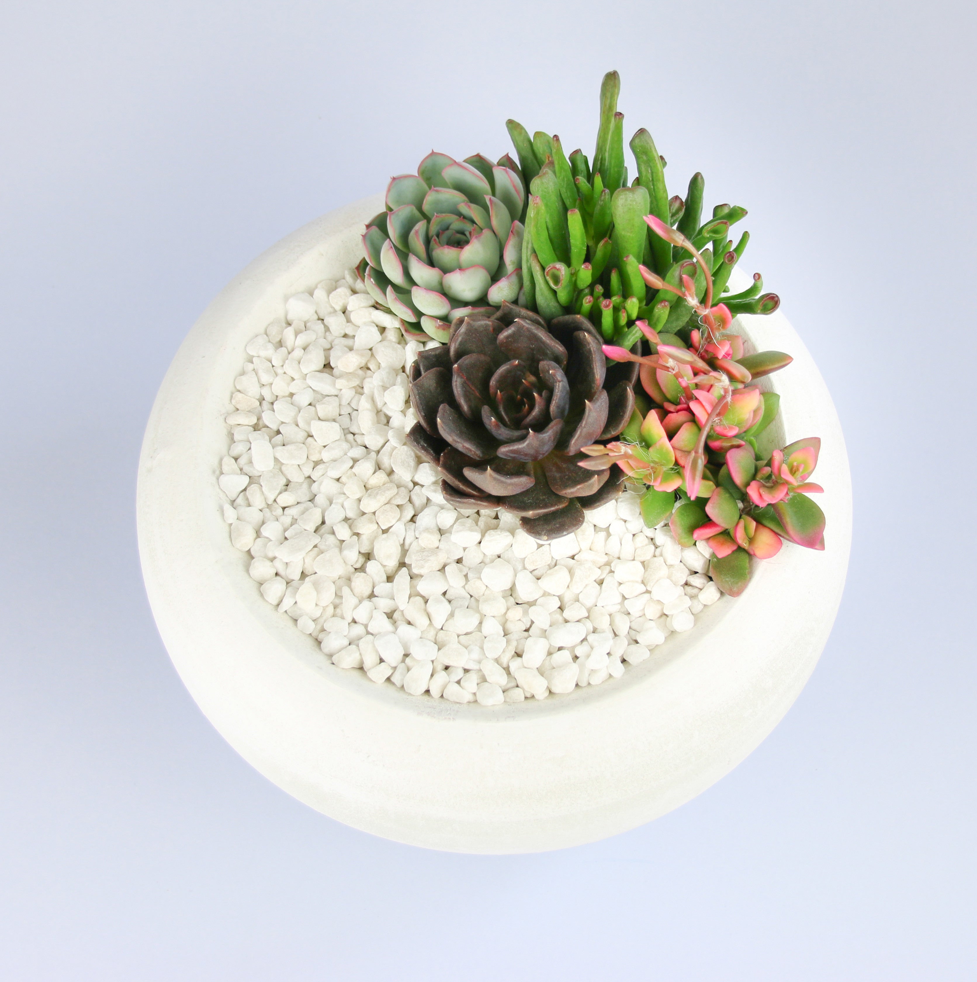 White Pottery Vase, Ceramic hot White Planter Succulents or Flowers, Minimalist Ceramic Succulent planter on rounded legs, White Kitchen Garden