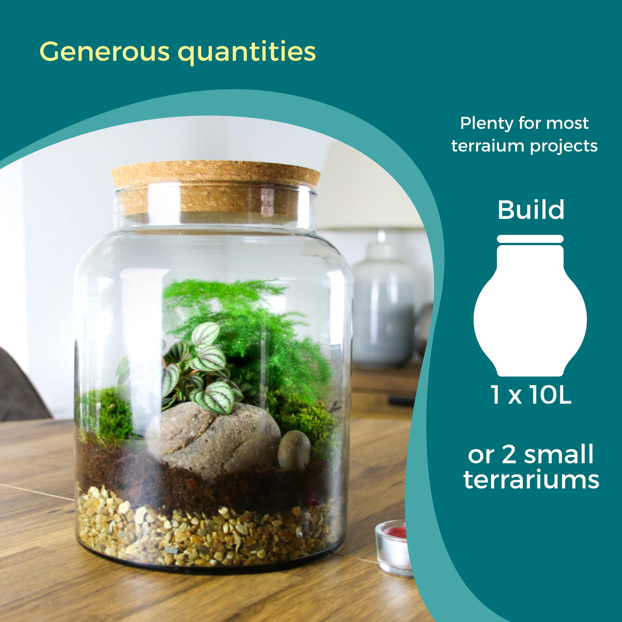 Closed Terrarium Starter Kit Small