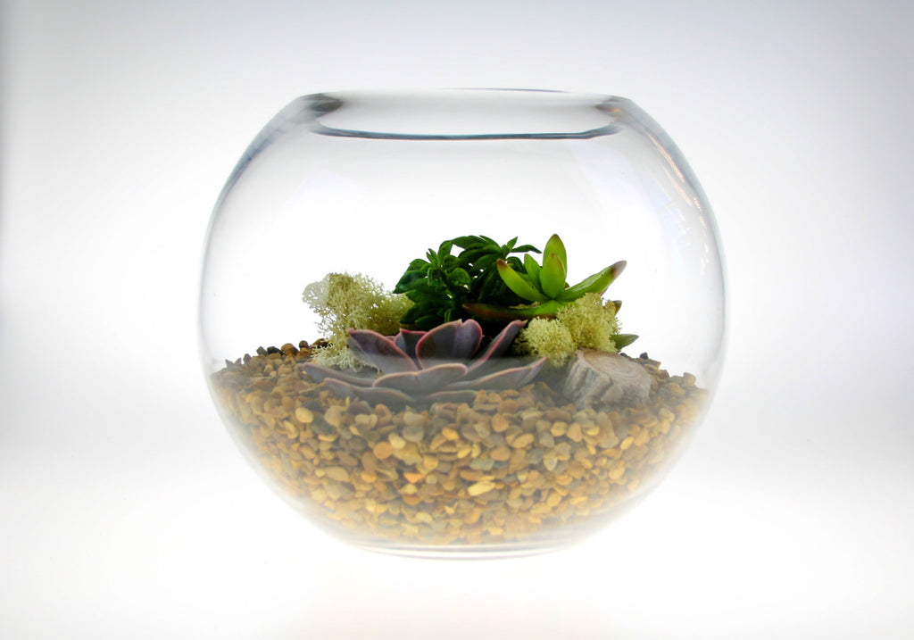 Gorgeous Glass Globe Succulent Terrarium to buy in the UK – The Art of ...